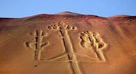nazca