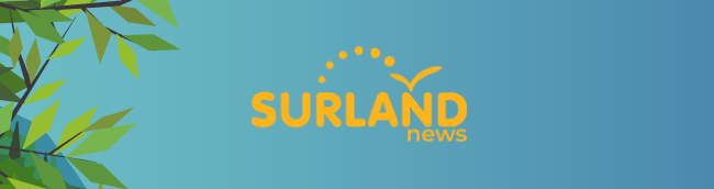 Surland