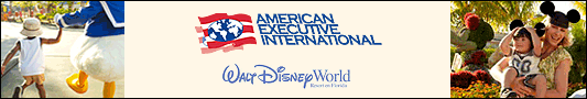 American Executive International