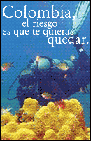 Ocean Hotels